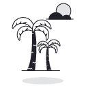 icon of palm trees and sun | PERQ Company