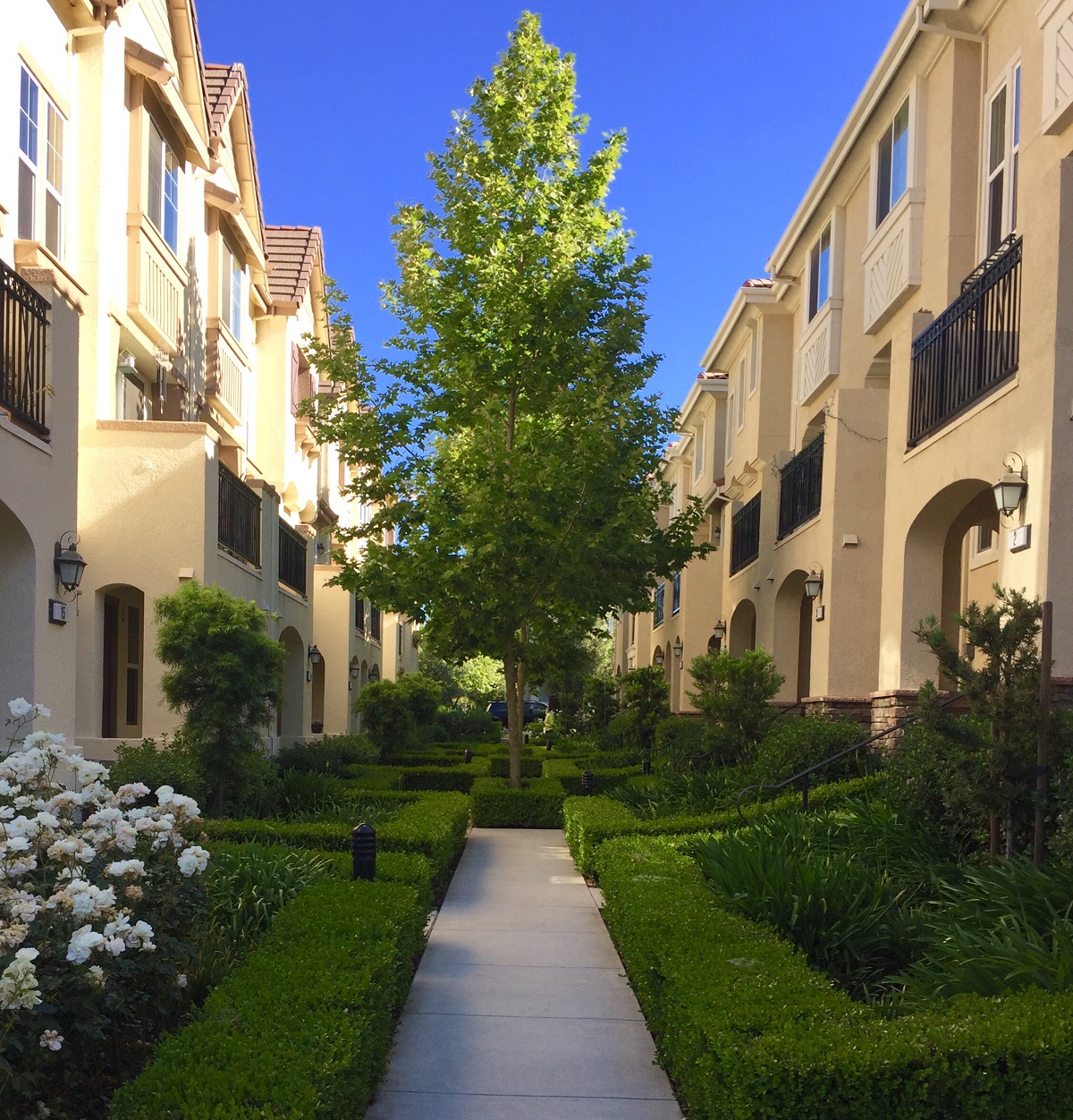 sidewalk leading to multifamily property | PERQ AI Leasing Assistant