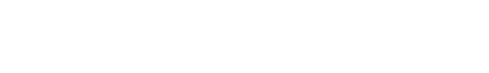 AION Logo