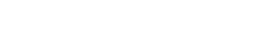 Champion Real Estate Logo