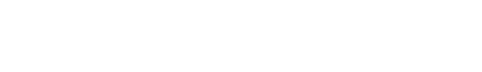Drucker + Falk Logo