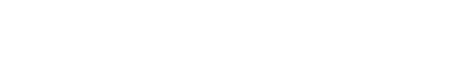 Wan Bridge Logo